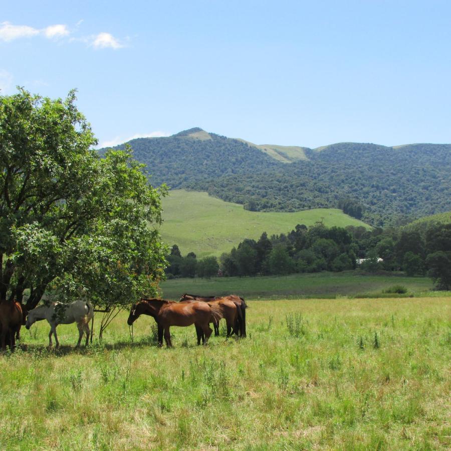 Karkloof Hideout Villa Howick Exterior photo